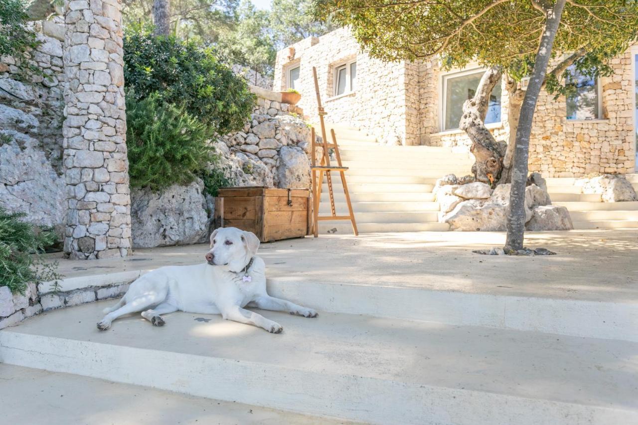 La Casa Del Fico Hotel Santa Maria di Leuca Kültér fotó